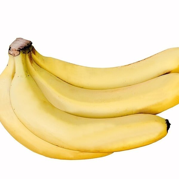 Banana Robusta